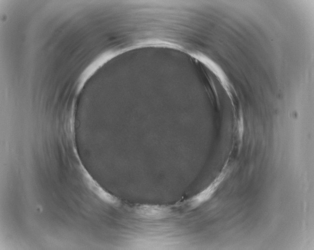 X0000087520910200705112003