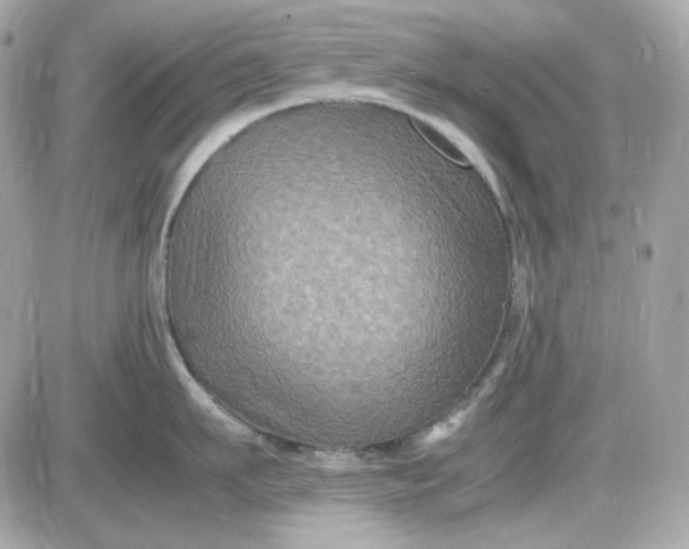 X0000087520911200705112003