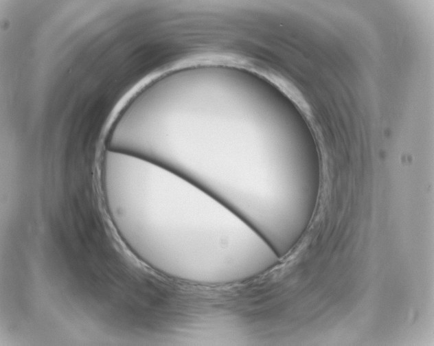 X0000087520912200705112003