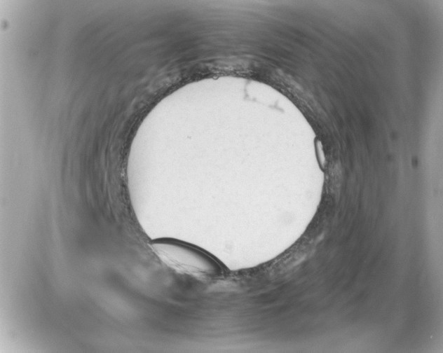 X0000087520913200705112002