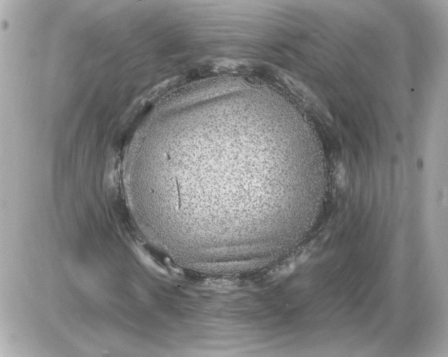 X0000087520914200705112002