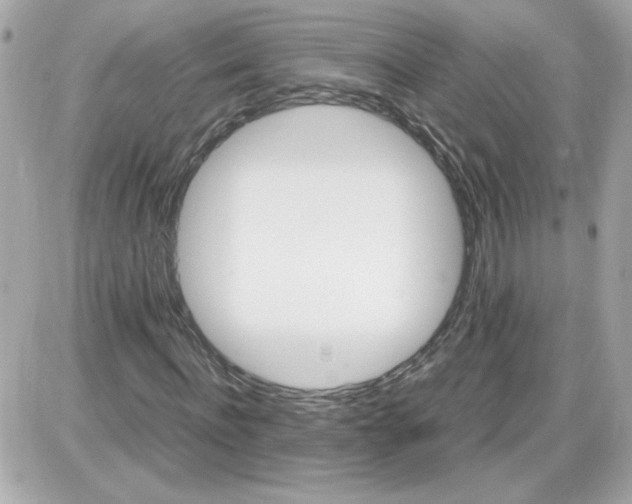 X0000087520916200705112002