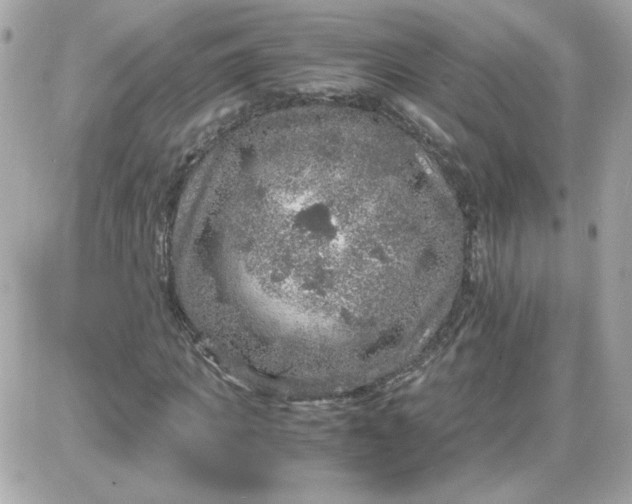 X0000087520917200705112002