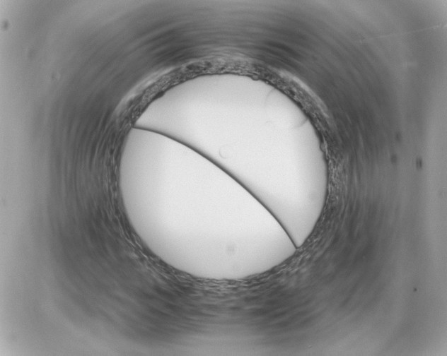 X0000087520919200705112002