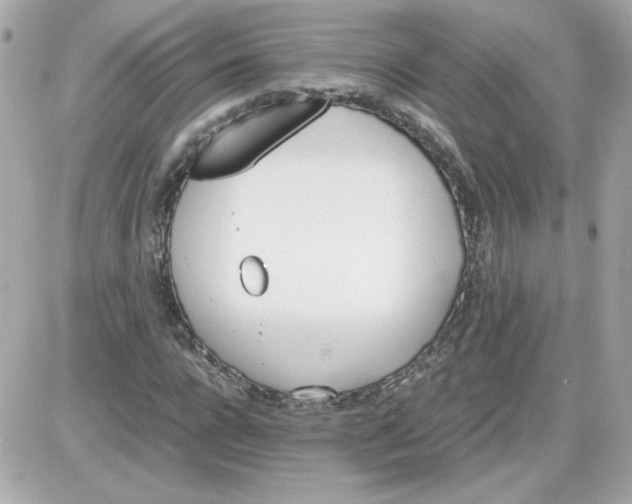 X0000087520920200705112002