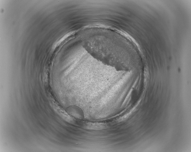 X0000087520921200705112002