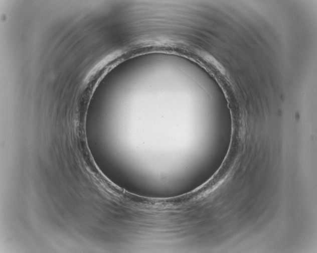 X0000087520922200705112002