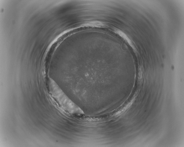 X0000087520923200705112002