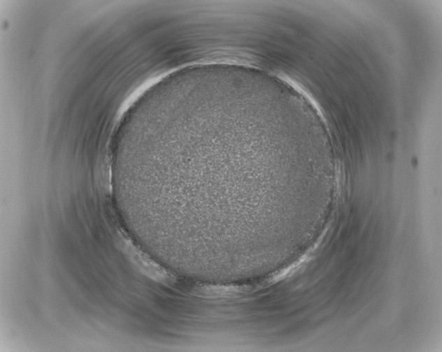 X0000087520925200705112002