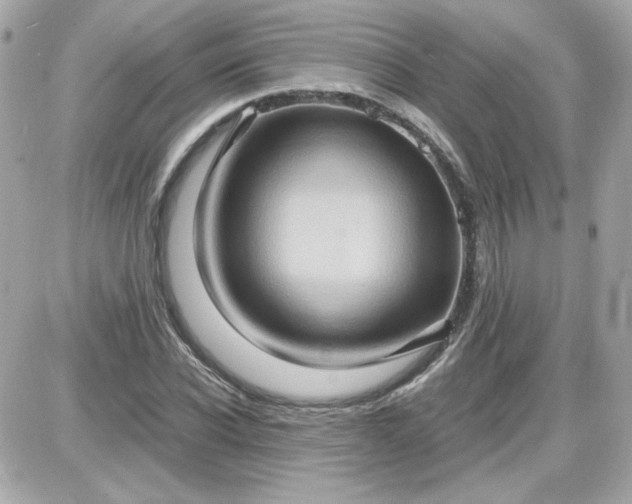 X0000087520926200705112002