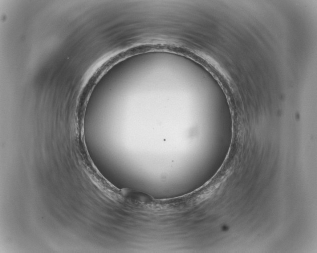 X0000087520927200705112002