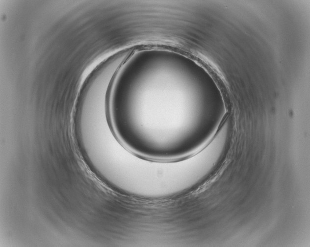 X0000087520928200705112002