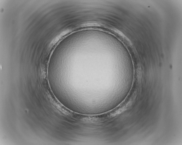 X0000087520929200705112002