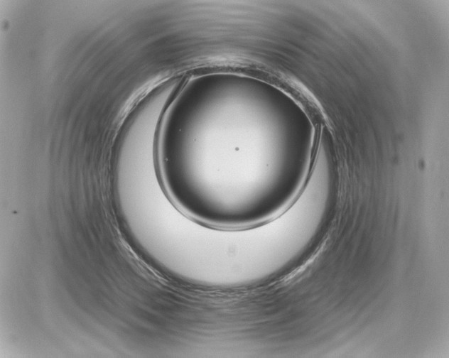 X0000087520930200705112002