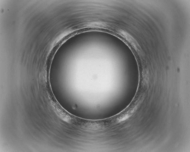 X0000087520931200705112002