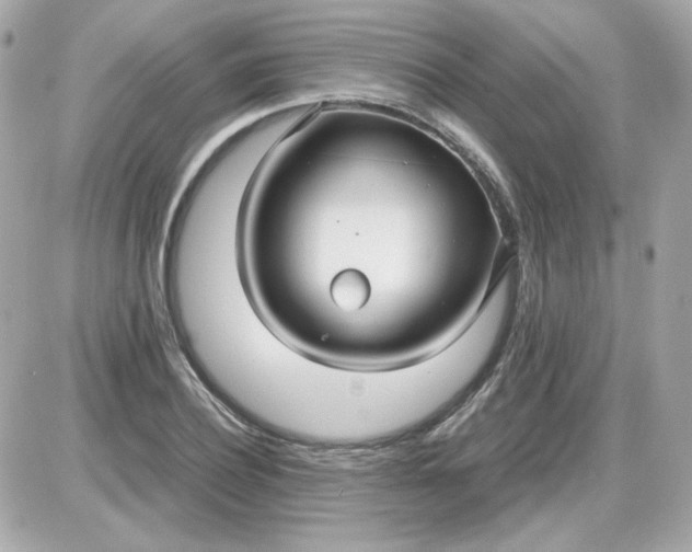 X0000087520932200705112002