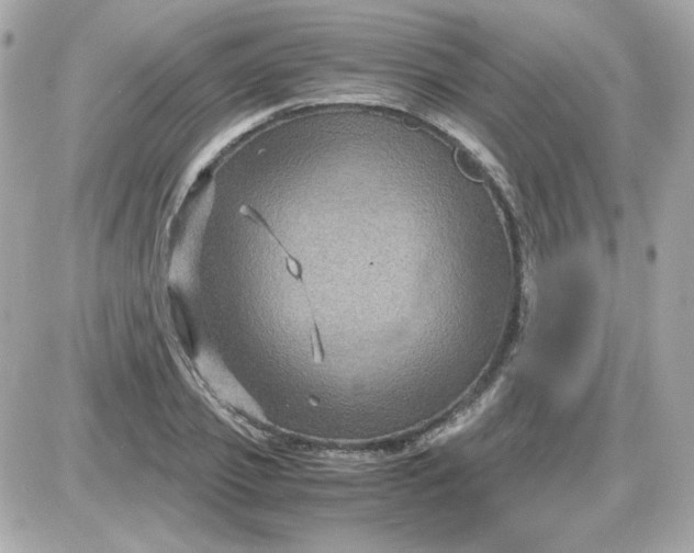 X0000087520933200705112003