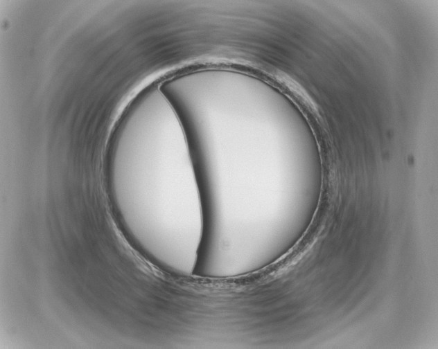 X0000087520934200705112003