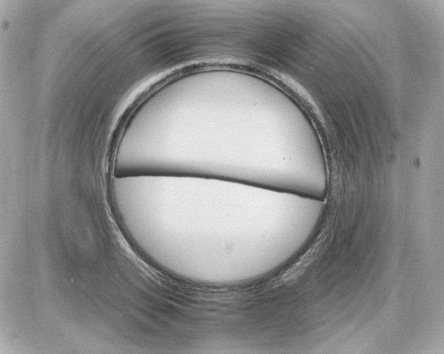 X0000087520935200705112003