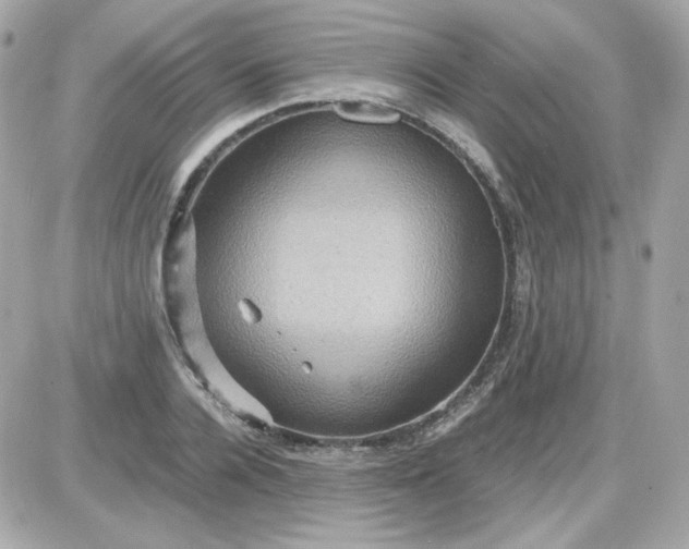 X0000087520936200705112003