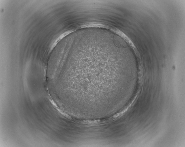 X0000087520937200705112003