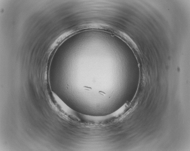 X0000087520938200705112003