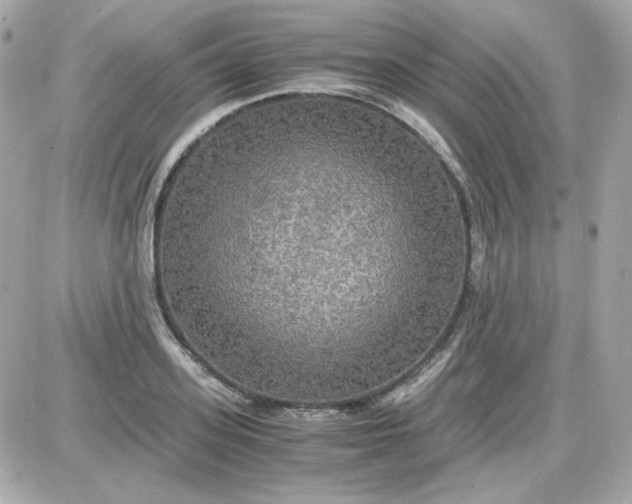 X0000087520939200705112003