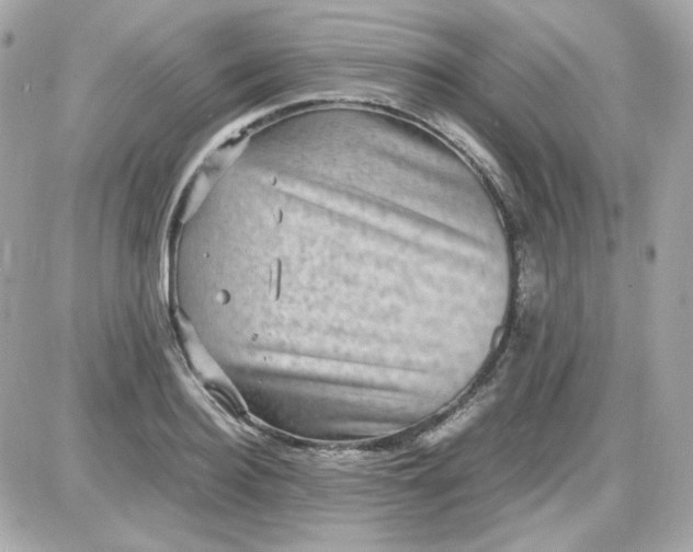 X0000087520940200705112003