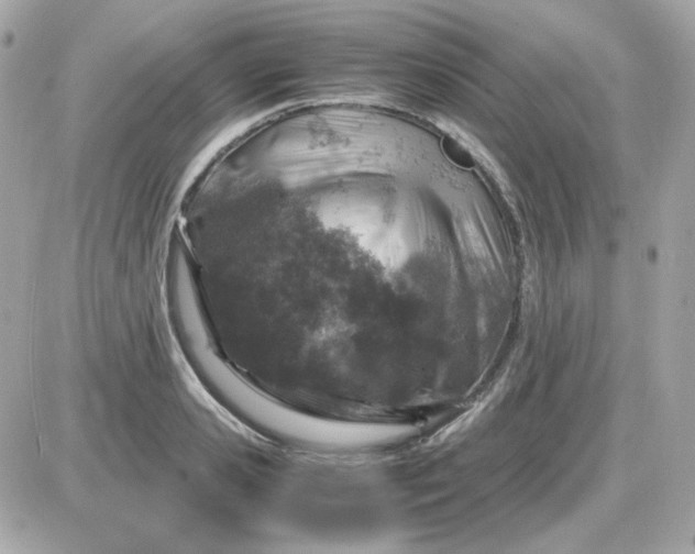 X0000087520941200705112003