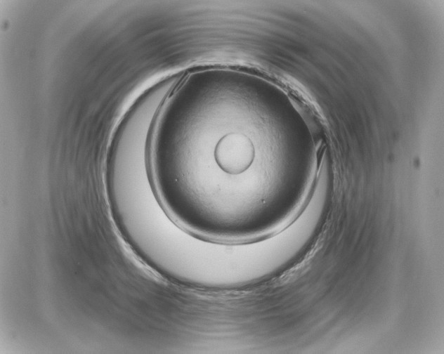 X0000087520942200705112003