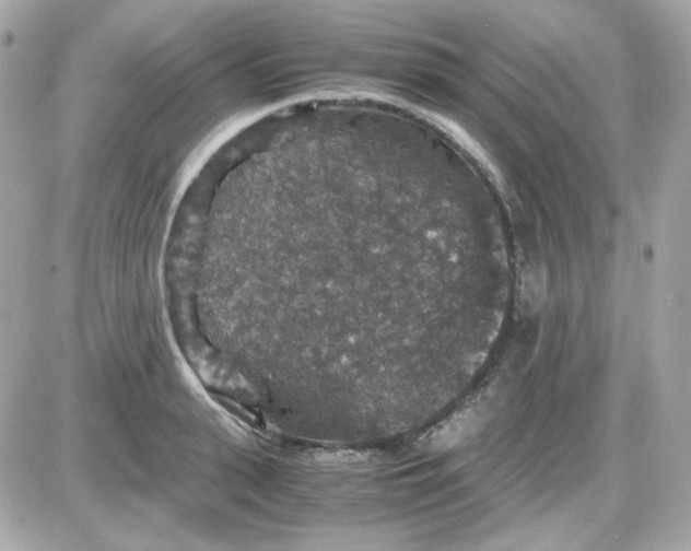 X0000087520943200705112003