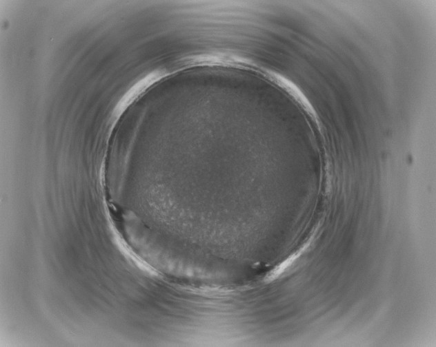 X0000087520946200705112003