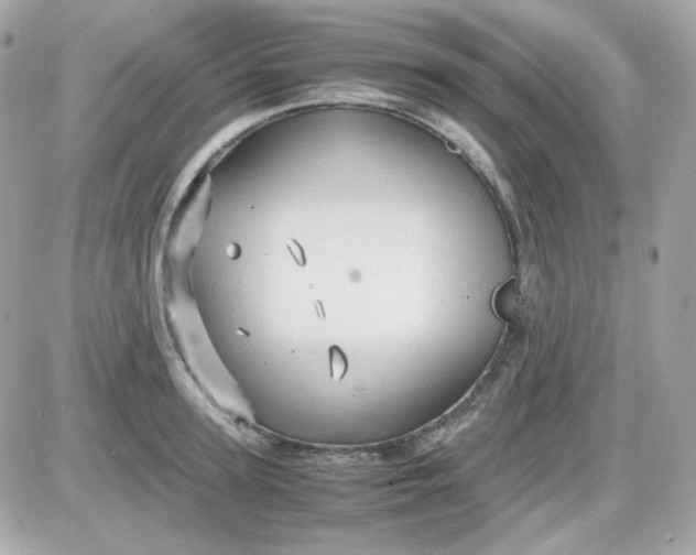 X0000087520947200705112003