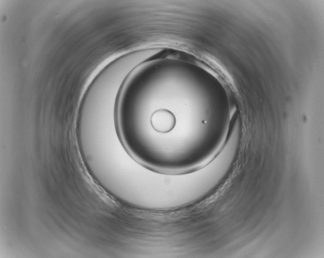 X0000087520948200705112003