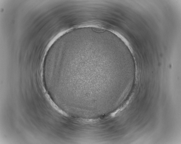 X0000087520949200705112003