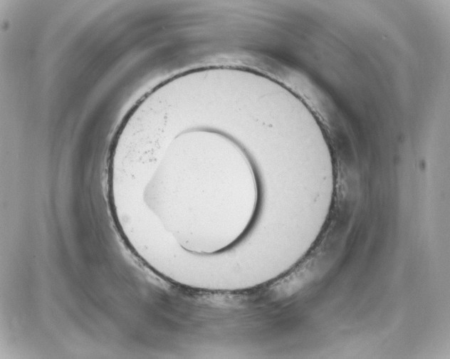 X0000087520950200705112003