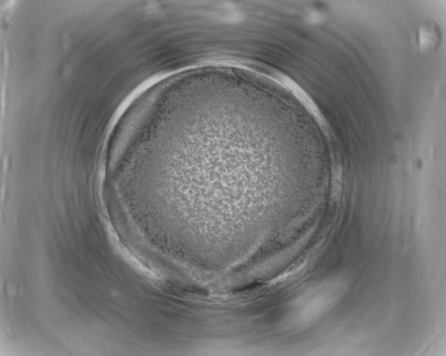 X0000087520955200705112003