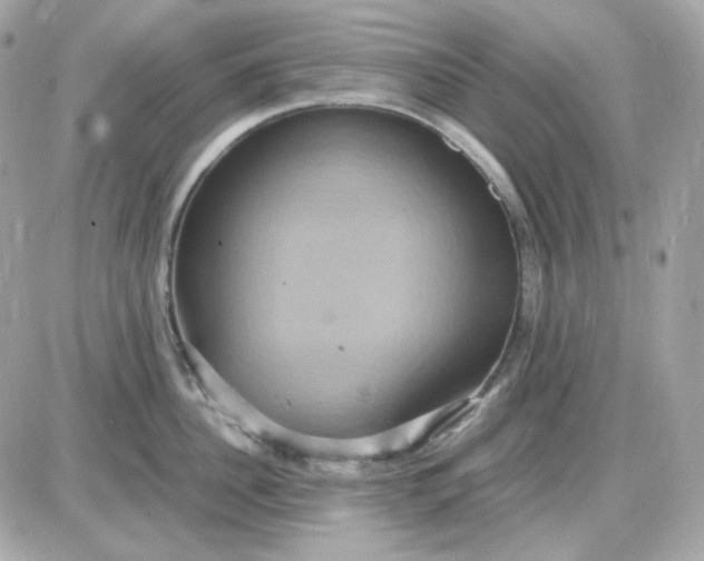 X0000087520956200705112003