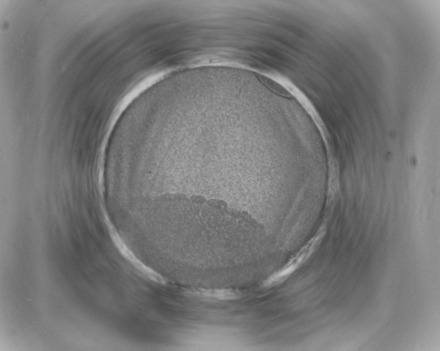 X0000087520957200705112003