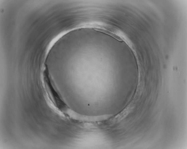 X0000087520960200705112003