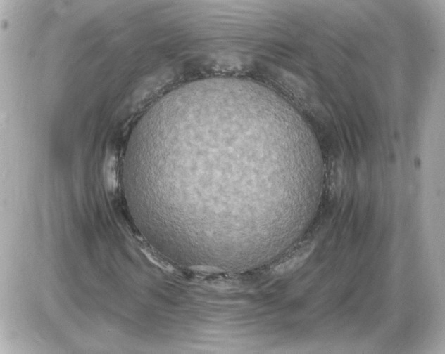 X0000087520962200705112002