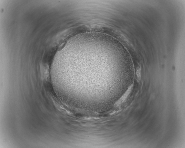 X0000087520963200705112002