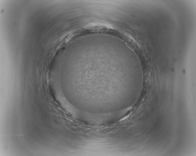 X0000087520965200705112002