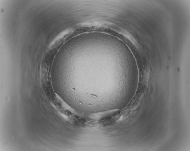 X0000087520967200705112002