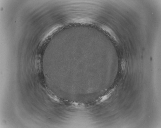 X0000087520968200705112002