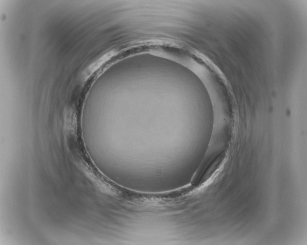 X0000087520969200705112002