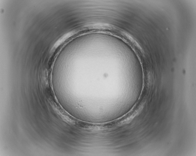 X0000087520970200705112002