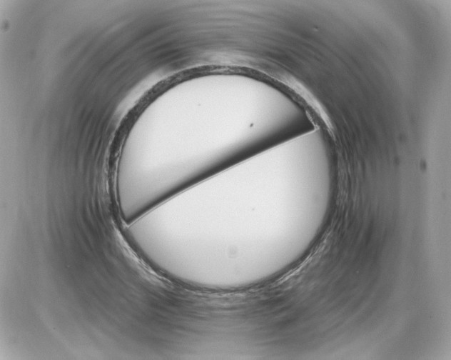 X0000087520972200705112002