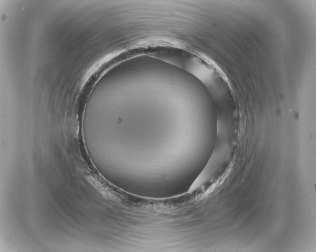 X0000087520973200705112002