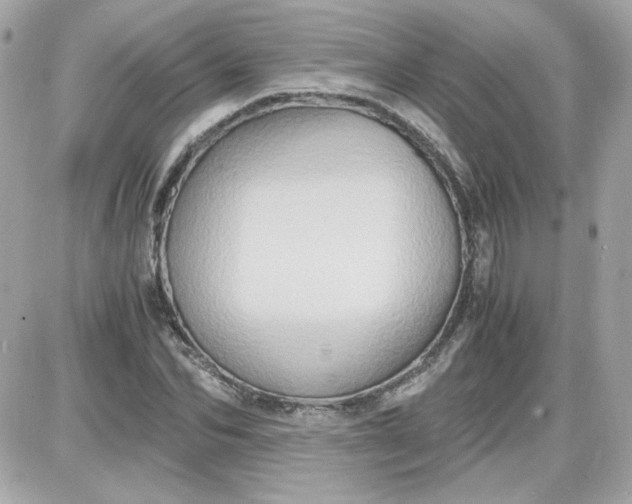 X0000087520974200705112002